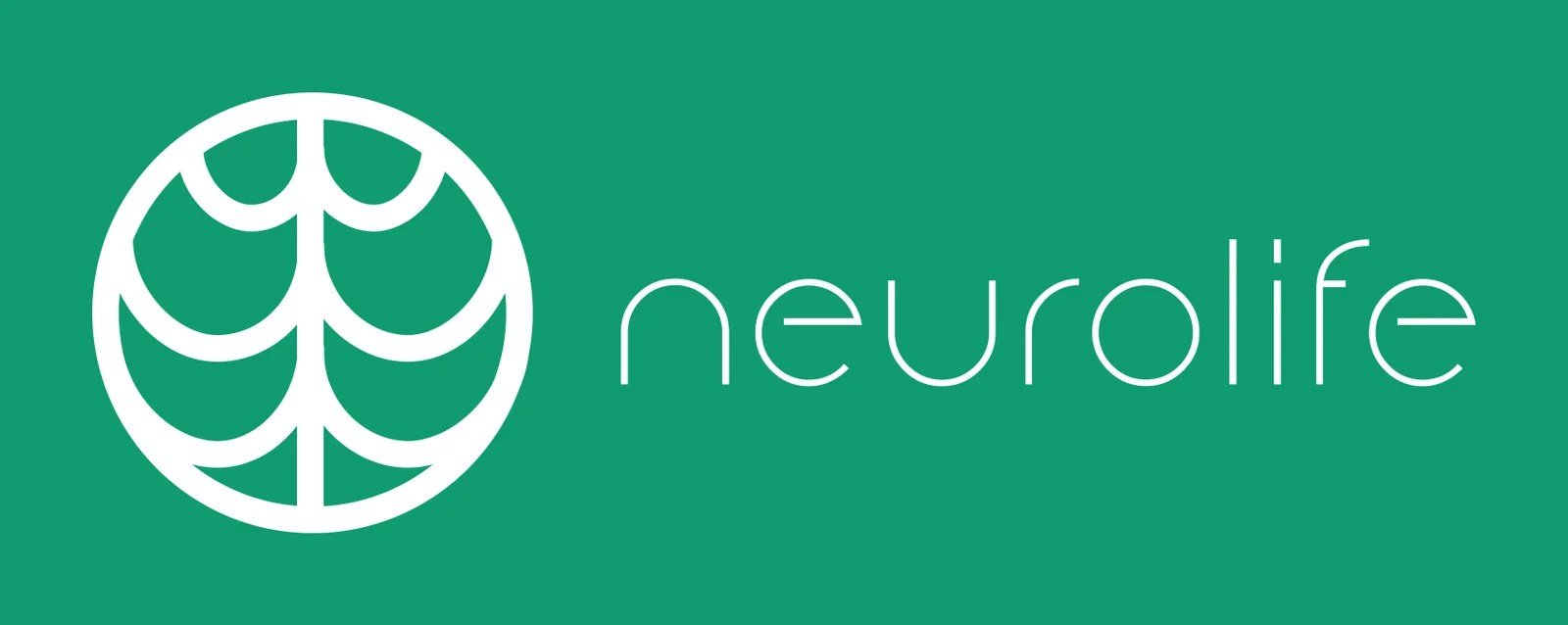 Project Success Story: Salesforce Org Optimization for Neurolife