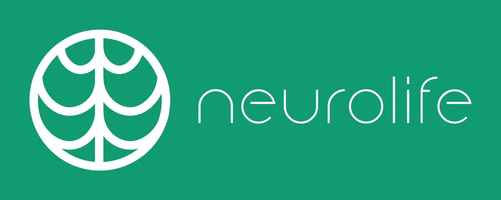 Project Success Story: Salesforce Org Optimization for Neurolife