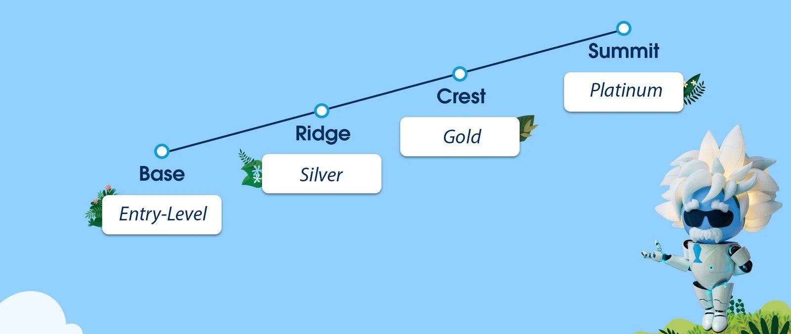 Salesforce partner tiers