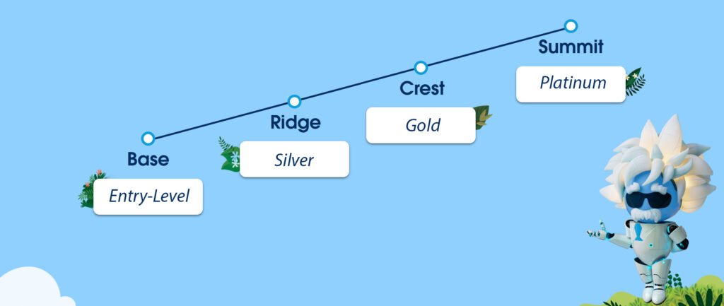 Appex Becomes a Ridge Salesforce Partner (Silver)